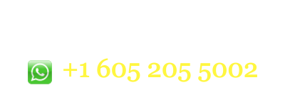 India Visa Agents Canada, Indian Tourist Visa, Business, Entry Visa